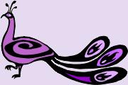 The Purple Peacock